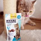 snack pour chat fourré à la crème | 60 grammes, Envoi, Chat