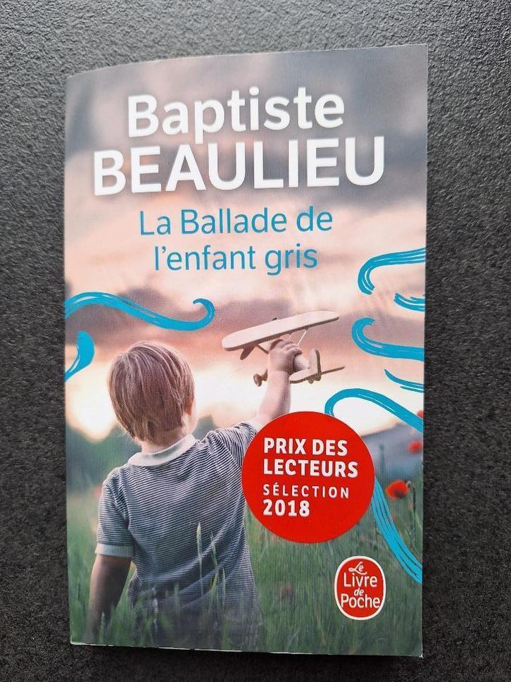 La ballade de l'enfant gris - Baptiste Beaulieu, Boeken, Romans, Zo goed als nieuw, Ophalen of Verzenden