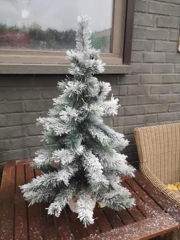 Sapin de Noël disponible aux enchères