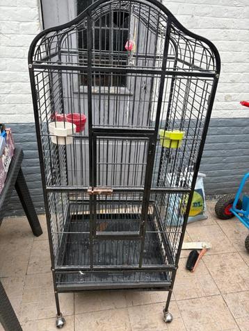 volières  beschikbaar voor biedingen