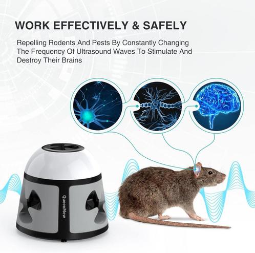 ② Ultrason Anti Nuisibles Souris et Rats 360 — Autres accessoires pour  animaux — 2ememain