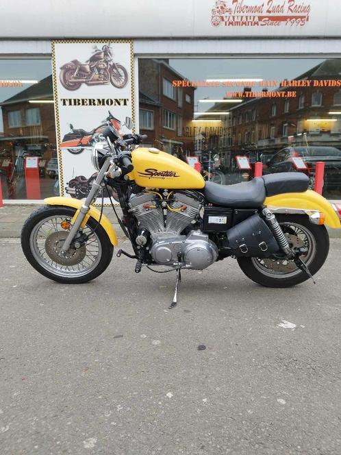 Harley Davidson XL883, Motoren, Motoren | Harley-Davidson, Bedrijf, Chopper, meer dan 35 kW, 2 cilinders, Ophalen