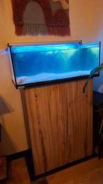 Aquarium inclusief kast Sera, Dieren en Toebehoren, Ophalen, Zo goed als nieuw