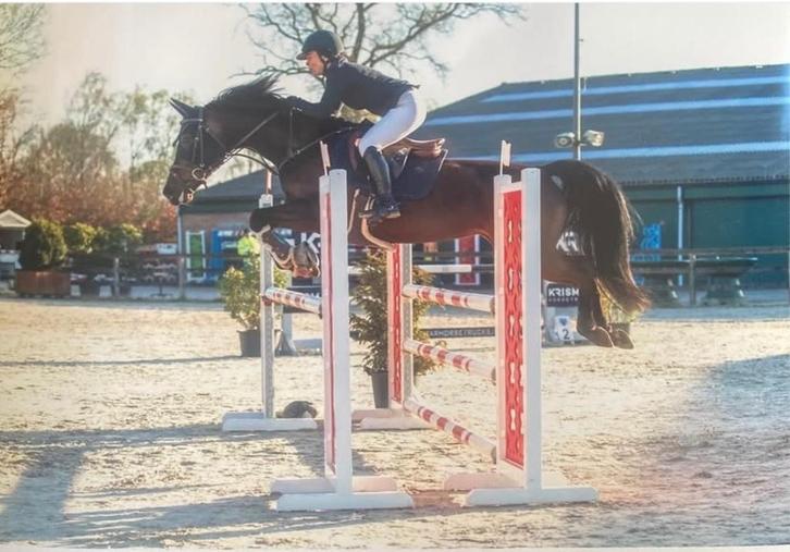 Zadelmak maken of (door)rijden pony’s en paarden, Dieren en Toebehoren, Paarden, Meerdere dieren, Zadelmak