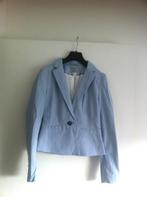 Witte blazer met fijne blauwe strepen H&M (maat 36) NIEUW, Kleding | Dames, Jasjes, Kostuums en Pakken, Nieuw, Jasje, Blauw, H&M