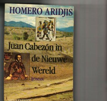 Juan Cabezon in de nieuwe wereld homero aridjis 422 blz  beschikbaar voor biedingen