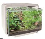 Superfish home 15 aquarium met pomp en filter, Dieren en Toebehoren, Vissen | Aquaria en Toebehoren, Ophalen of Verzenden, Gebruikt