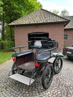 Marathon wagen, Zo goed als nieuw, Marathonwagen, Paard of Pony