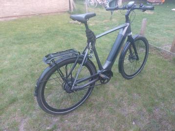 Gazelle Ultimate C380 HMB Belt H61 beschikbaar voor biedingen