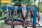 🔴 ZGAN COGNAC-BRUIN C -PONY-MAAT ENKELSPAN TUIG 195  €  🔴, Ophalen of Verzenden