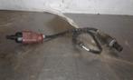 LAMBDASONDE Golf Plus (5M1 / 1KP) (|036906262AA|), Gebruikt, Volkswagen