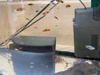 Platy jonge vissen per 10st 4€, Dieren en Toebehoren