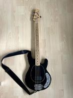 Music Man Stingray 2004, Muziek en Instrumenten, Ophalen, Gebruikt, Elektrisch