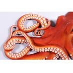 Octopus Wall Decor Breedte 73 cm, Verzamelen, Ophalen, Nieuw