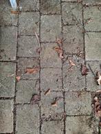 Klinkers gratis, Tuin en Terras, Tegels en Klinkers, Ophalen, Gebruikt, Klinkers
