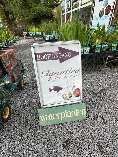 Vijverplanten specialist! Nederland, Tuin en Terras, Vijver-toebehoren, Ophalen