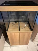 Aquarium 200 l merk juwel, Animaux & Accessoires, Poissons | Aquariums & Accessoires, Enlèvement, Utilisé