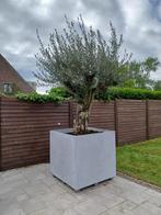 plantenbakken - bloembakken, Tuin en Terras, Ophalen