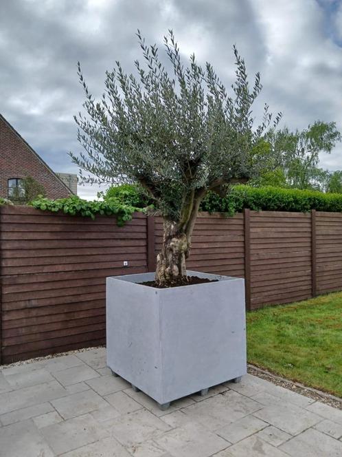 plantenbakken - bloembakken, Tuin en Terras, Bloembakken en Plantenbakken, Ophalen