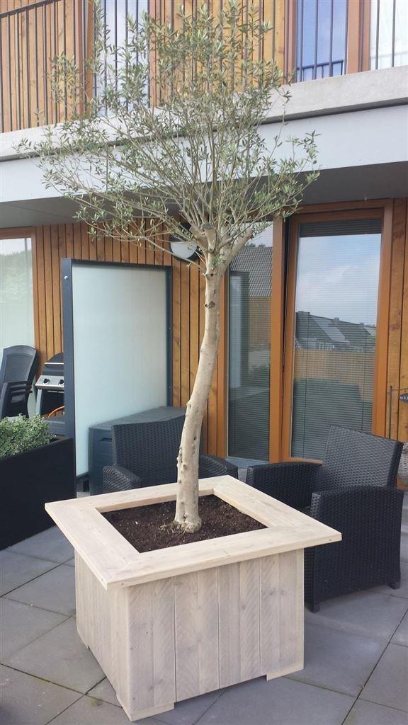 Plantenbak van steigerhout, Tuin en Terras, Bloembakken en Plantenbakken, Nieuw, Ophalen of Verzenden