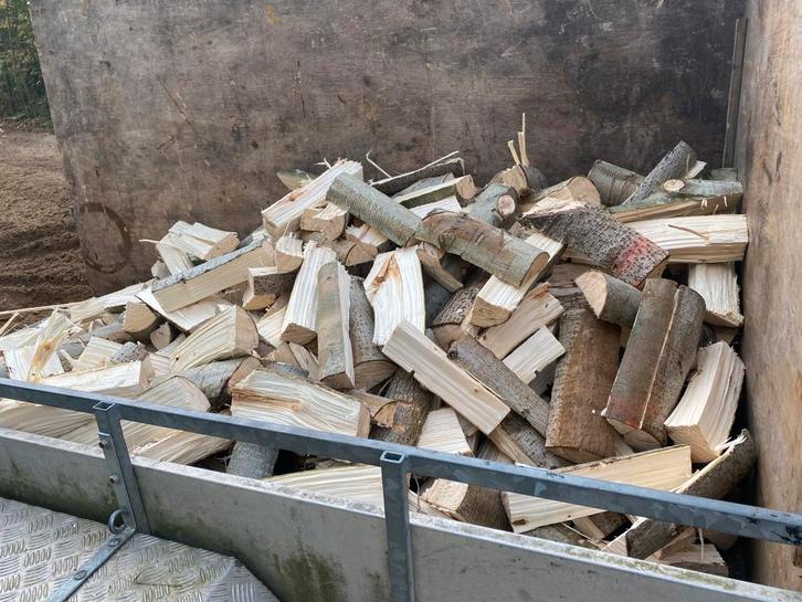 Brandhout uit stam, geleverd aan huis., Tuin en Terras, Brandhout, Blokken, Overige houtsoorten, 3 tot 6 m³, Ophalen of Verzenden