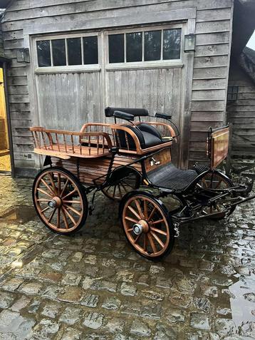Pony koets - wagonette beschikbaar voor biedingen