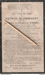 Victime de guerre : 1914-1918, Collections, Envoi