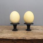2 Struisvogeleieren in houder, Ophalen of Verzenden