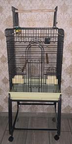 Grote papegaaienkooi met complete accessoires, Dieren en Toebehoren, Ophalen of Verzenden, Zo goed als nieuw