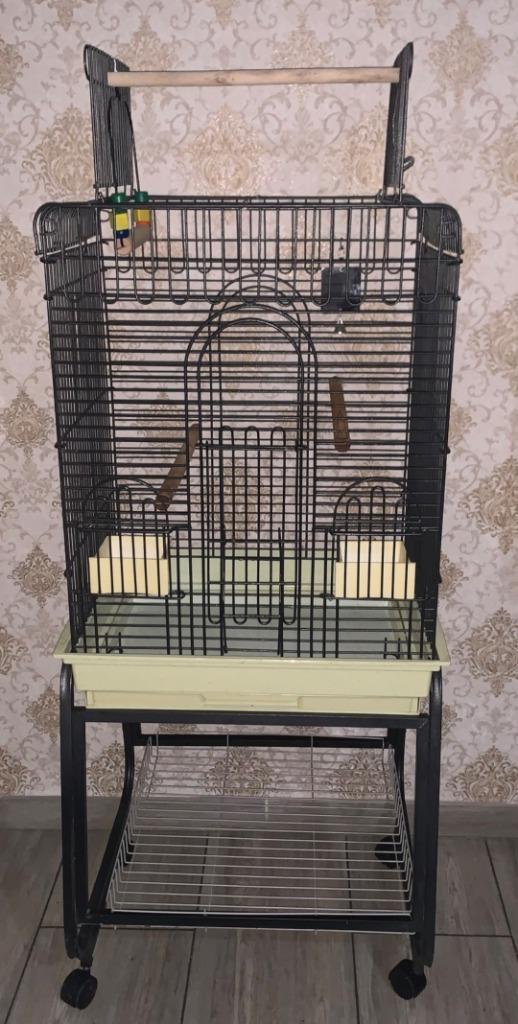 Grote papegaaienkooi met complete accessoires, Dieren en Toebehoren, Vogels | Hokken en Kooien, Zo goed als nieuw, Ophalen of Verzenden