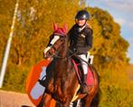 Pony te koop, Dieren en Toebehoren, Pony's, Merrie, Gechipt, Niet van toepassing, Springpony