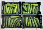 Courgettes  -  3stuks voor €1, Ophalen