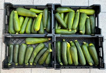 Courgettes  -  3stuks voor €1 beschikbaar voor biedingen