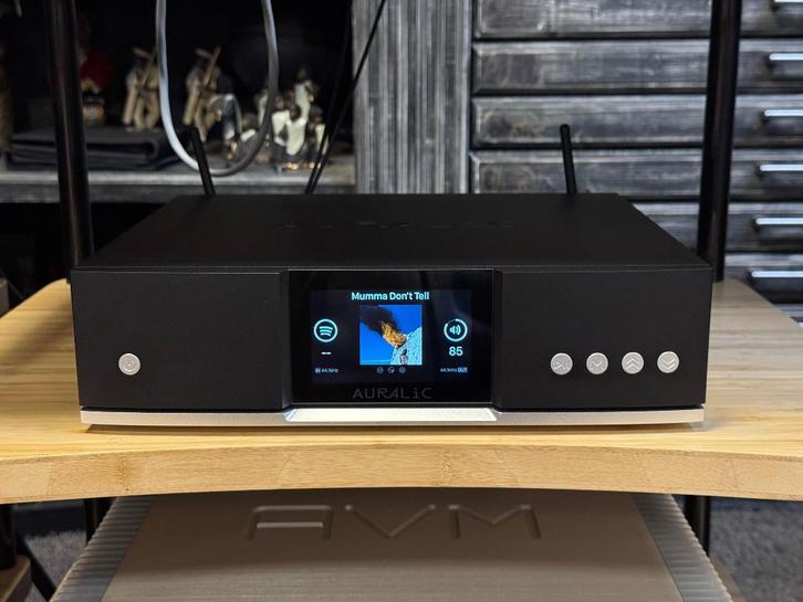 Auralic Aries G1.1, TV, Hi-fi & Vidéo, Lecteurs multimédias, Utilisé, Enlèvement