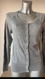Grijze gilet, Ophalen of Verzenden, Zo goed als nieuw, Maat 38/40 (M)