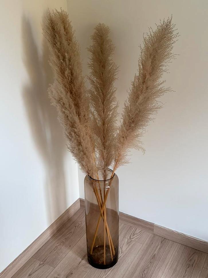 Grote vaas beige met pampas pluimen, Huis en Inrichting, Woonaccessoires | Droogbloemen, Zo goed als nieuw, Ophalen