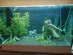 Aquarium oase 100l, Dieren en Toebehoren, Ophalen, Zo goed als nieuw