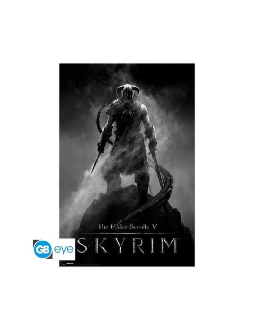 Skyrim - Poster Maxi (91.5x61cm) - Dragonborn, Verzamelen, Posters, Nieuw, Overige onderwerpen, Deurposter of groter, Vierkant