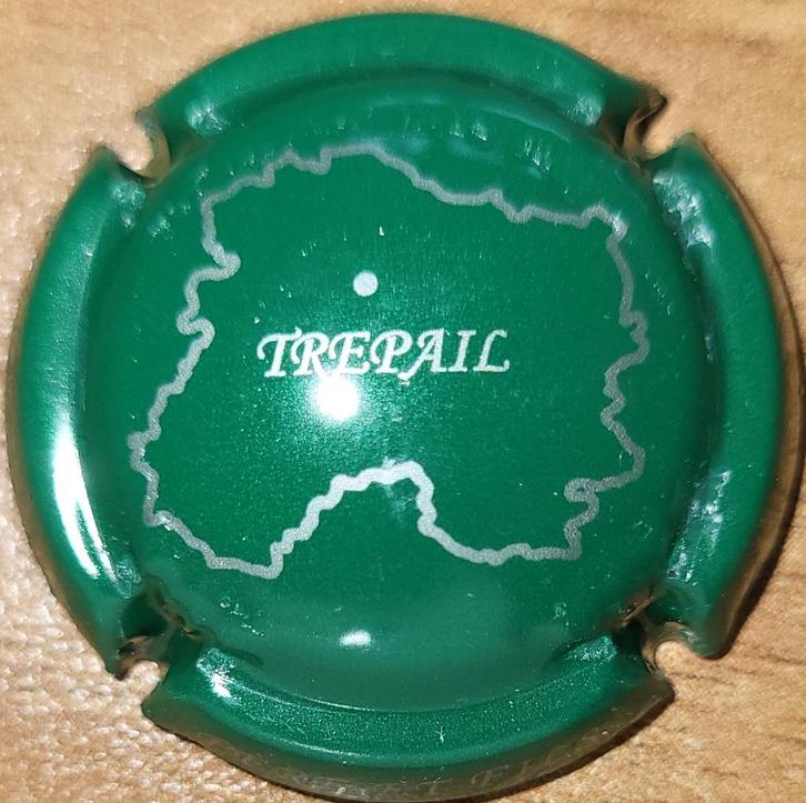 Capsule Champagne COIZY Père & Fils vert foncé nr.05, Collections, Vins, Neuf, Champagne, France, Enlèvement ou Envoi