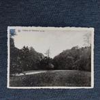 Oude postkaart Champion, Ophalen of Verzenden