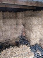 Stro, Enlèvement, Bétail