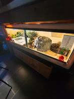 HERPTEK Terrarium 150x70x50, Enlèvement, Comme neuf, Terrarium ou Paludarium