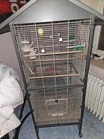 Volière à vendre, Animaux & Accessoires, Enlèvement, Volière