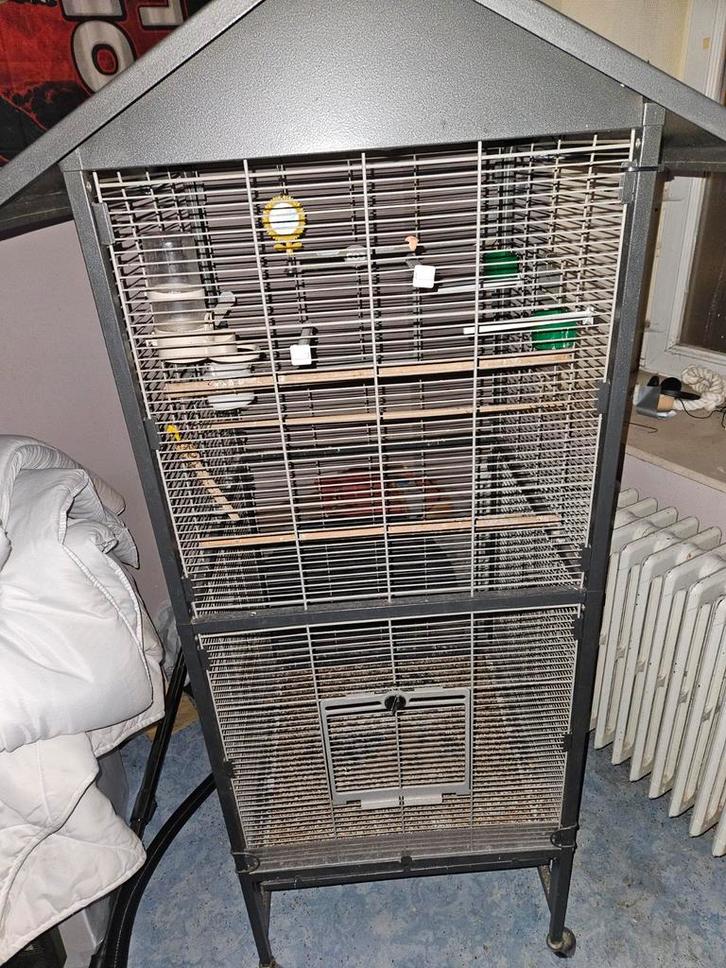 Volière à vendre, Animaux & Accessoires, Oiseaux | Cages & Volières, Volière, Enlèvement