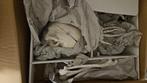 Anatomisch model van menselijk skelet, ongemonteerd, Diversen, Schoolbenodigdheden, Ophalen, Nieuw