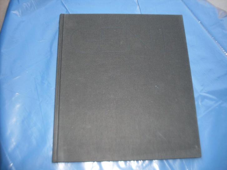 GENT : VORSTELIJKE STAD  (=7 de kunstboek over Gent), Boeken, Kunst en Cultuur | Beeldend, Zo goed als nieuw, Schilder- en Tekenkunst