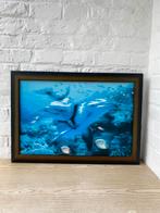 Grand tableau dauphins avec effet 2D, Ophalen of Verzenden