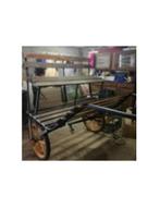 Calèche, Animaux & Accessoires, Cheval