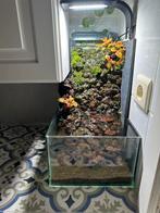 Katten fontein of aquarium, Ophalen, Zo goed als nieuw