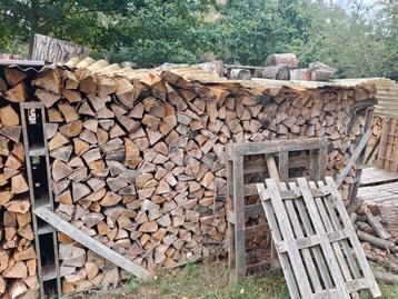 Droog brandhout, hardhout mengeling beschikbaar voor biedingen